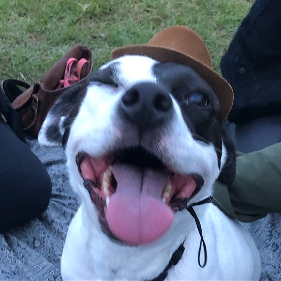 Meet your Posher, Emily - Picture 1 of 1